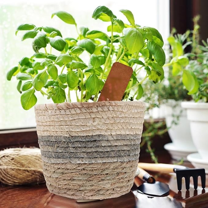 Angoily Round Wicker Plant Basket 2PCS Seagrass Rattan Flower Plant Pots Basket Planters Decorative Woven Flowerpots Wastes- Desktop Floor Weaving