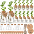 Baderke 24 Pack 3.35'' Plastic Plant Propagation Stations with Hole Lid Planter Vase Clear Propagation Jars with Thank You Tags for Plant Lover Gifts for Women Office Home Garden