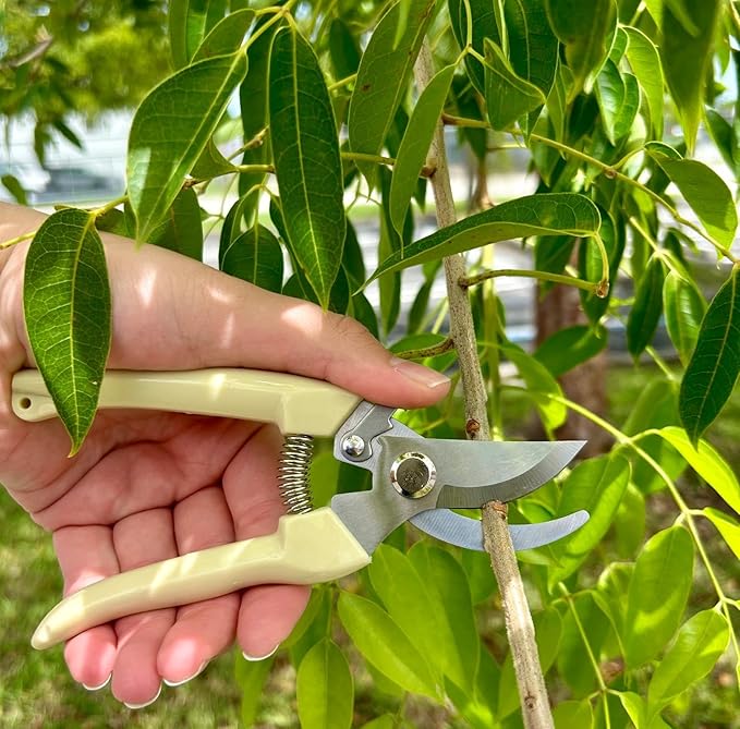 Ergonomic Garden Pruning Scissors - Stainless-Steel Bypass Blade Shears for Cutting Flowers, Trimming Plants, Bonsai, and Fruit Picking 1-Inch Precision with Quick Lock and Rust-Resistant Design 2pack