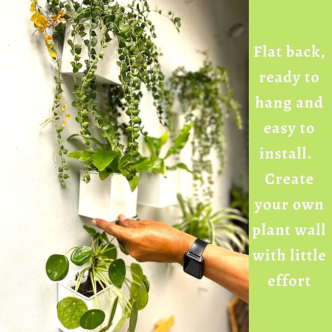 LaLaGreen Wall Planter - 6 Pack, 4 Inch Square Metal Wall Planter for Indoor Plants, Small White Wall Mounted Flower Pots Outdoor Herb Garden Decor, Balcony Railings Hanging Buckets Porch Patio