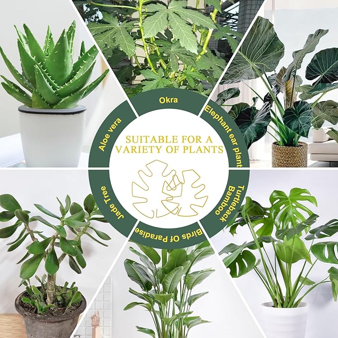 Plant Stem Support 2 Pack, Adjustable Metal Monstera Plant Support Small & Large, Unique Design Plant Supports for Indoor Plants Moss Pole Growth (Gold)
