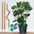 3-Pack 35in Bendable & Sturdy Plant Moss Pole for Monstera, Gifts for Plant Lovers, Pothos Vines, Philodendron, Fishbone Cactus & Indoor Tropical Houseplants, Coco Coir