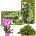 ZeeDix 2-Pack Premium Sphagnum Moss - 2.2 lb Orchid Moss Plant Growing Medium for Terrariums, Orchids, Carnivorous, Succulents & Reptile Habitat Substrate