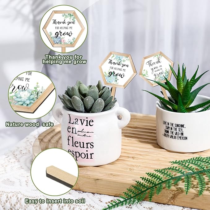 48 Pcs Thank You for Helping Me Grow Succulent Tags Teacher Appreciation Gifts Hexagon Wooden Plant Stakes Label Garden Marker Plant Sign for Teacher's Day Xmas Thanksgiving (Teacher Style)