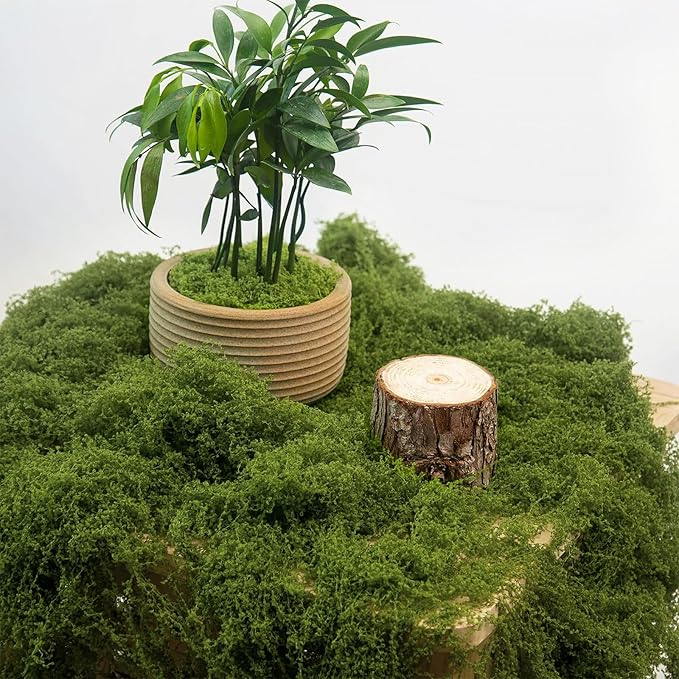 MGLIFEUL 1.5 LBS Artificial Fake Moss for Crafts Plants Indoor with Non-Stick Gloves and Tweezers，Preserved Green Plant Faux Craft Moss Musgo for Fairy Garden Outdoor Home Decorating Model Making