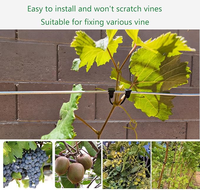 Plastic Vine Clip Garden Plant Support Clip Plant Tomato Grape Raspberry Kiwi Vine Clip Suitable for 9#-12# lines
