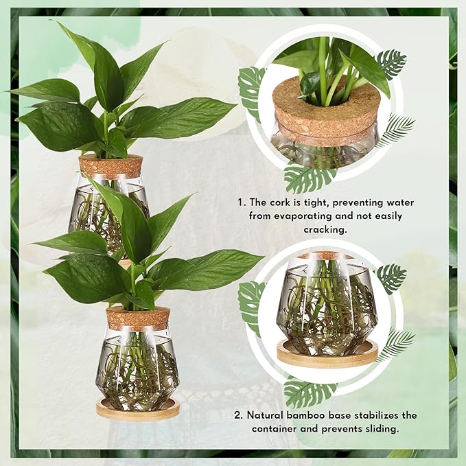 Baderke 12 Packs Propagation Vases for Plants Plastic Plant Propagation with Hole Lid and Bamboo Stand Growing in Water Hydroponic Home Office Desktop Vase Decoration (Cup Style)