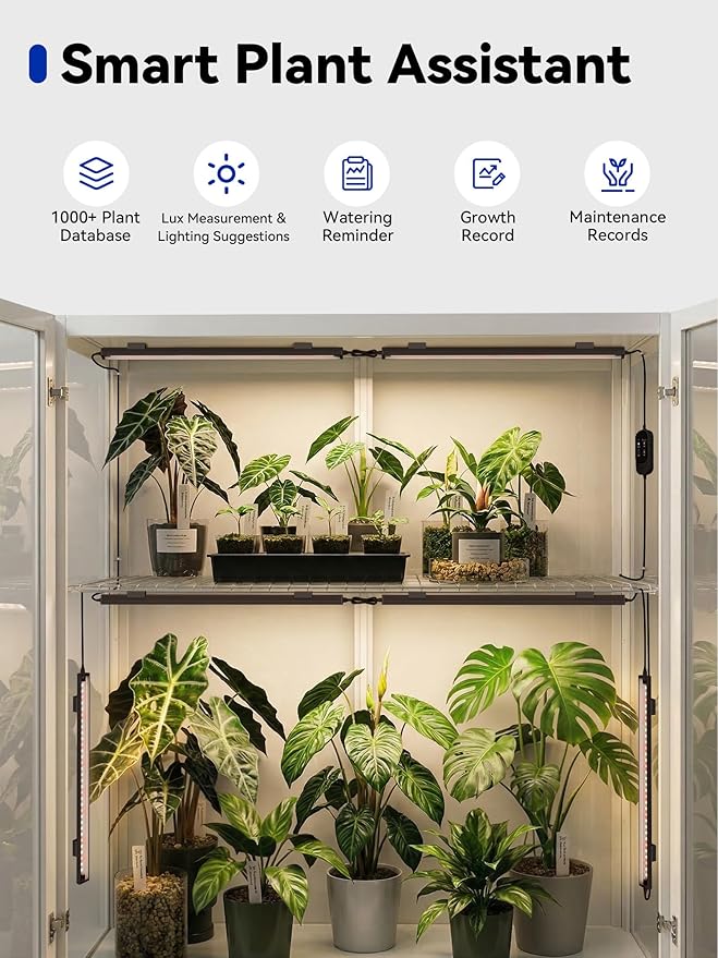 GLOWRIUM Smart Grow Lights for Indoor Plants with APP, Full Spectrum Grow Lights for Seed Starting, G6 Plant Light Strip with auto Timer, 3 Angle dimming Levels for Plant Shelf, 2-Pack (Black, 16W)