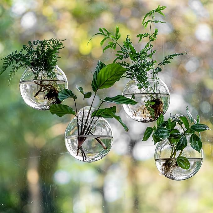 Window Propagation Stations, Oblate Glass Terrariums Planter with Suction Cup Hook, Wall Hanging Planters for Hydroponics Plants, Home, Office, Bathroom, Living Room Decor, Gift for Plant Lovers (4)