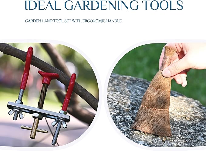 14-Piece Bonsai Tree Kit, Bonsai Tool Set, Carbon Steel Scissors Cutter Shears, Perfect Gardening Trimming Pruning Tools Jin Pliers, Rake with Spatula Starter Kit
