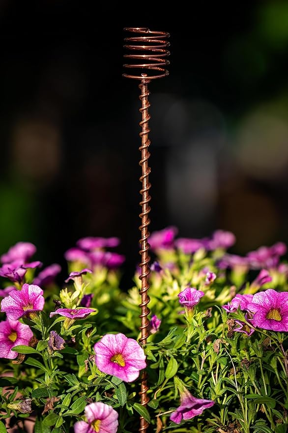 Electroculture Grows 24" Long Solid Copper Forever Stake Traditional Plant Stakes Pack of 5 - Wrapped with Pure Solid Copper Wire