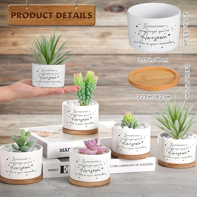 12 Pcs Inspirational Succulent Pots Thank You Gift Bulk for Women Employee Teacher Coworker Sometimes You Forget You're Awesome Small Ceramic Plant with Bamboo Trays for Office Staff Graduation