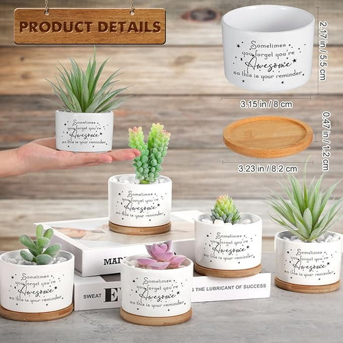 12 Pcs Inspirational Succulent Pots Thank You Gift Bulk for Women Employee Teacher Coworker Sometimes You Forget You're Awesome Small Ceramic Plant with Bamboo Trays for Office Staff Graduation