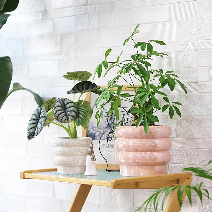 7.8 Inch Ceramic Plant Pots for Indoor Plants, Rainbow Pearl Glaze Planter with Planters for Plants with Drainage Hole, Orchid Pots, Succulent Pot, Flower Pot (Pink)