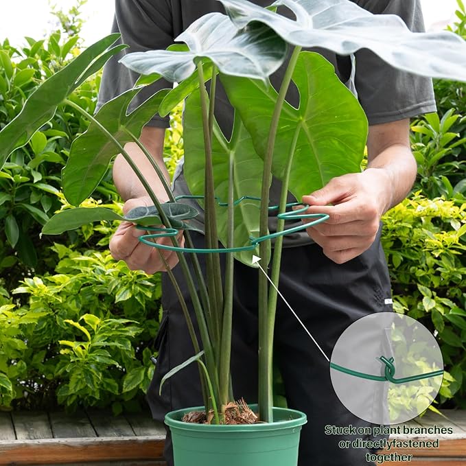 Yohsnor 5PCS Monstera Plant Support Stem 9 x 7.6 in- Durable Stabilizer Set for Indoor Climbing Plants, Holders for Enhancing Growth, Ideal Gift for Plant Lovers, Fishbone Cactus Stake Garden Tool