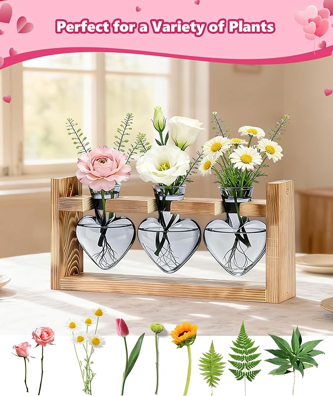 Nacome Plant Terrarium Propagation Stations: Mothers Day Gifts for Mom Plant Lovers Women Wife Daughter - 3 Bulb Glass Vase with Wooden Stand Tabletop for Hydroponics Home Garden Decor(Gray)