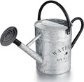 Garutom Galvanized Watering Can for Outdoor Indoor Plants, 1 Gallon Decorative Countryside Style Water Can with Removable Spout, Perfect Metal Watering Can for Indoor Plants and Garden Flower