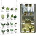 4-Tier Hanging Clear Plant Shelves for Windows, Acrylic Window Wall Plant Stand Shelf for Kitchen Indoor Gardens, Flower,Herb, Seedling Organization, and Pots Display, 16 Inch per Tier