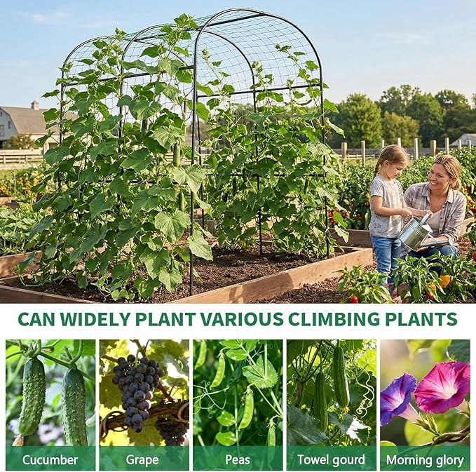 SUNYRISY Garden Arch Trellis for Climbing Plants Outdoor, 71" x 47" x 83" Metal Core Tall Archway Tunnel Plant Support for Cucumber Tomato Vine Flowers Vegetables Climbing Plants