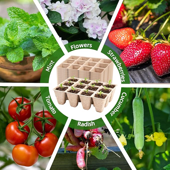 Seed Starter Tray,240 Cell Biodegradable Peat Pots Seed Starter Kit,Organic Germination Trays for Vegetable Flower Seedlings with 20 Plant Labels & 2 Garden Tools -20 Pack