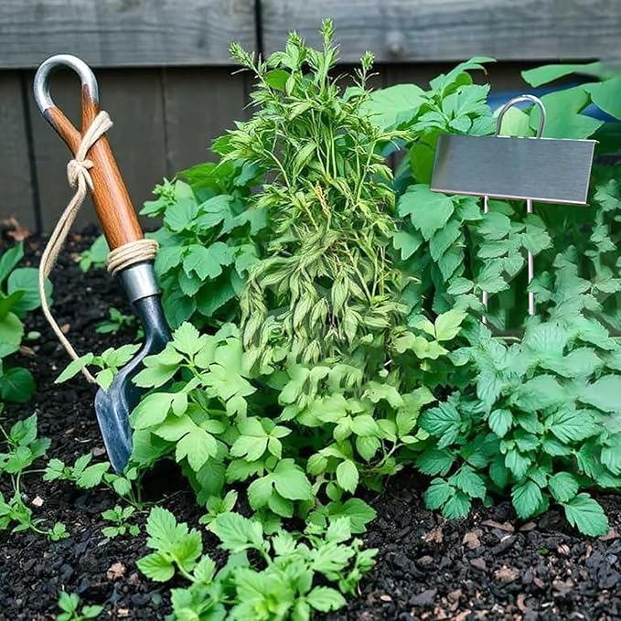 Plant Labels Metal 304 Stainless Steel Garden Plant Markers Weatherproof Garden Stake Tag Plant Tags with Pen for Outdoor Seedling Flower Herb Vegetable Greenhouse(30 Pack) (Stainless Steel)