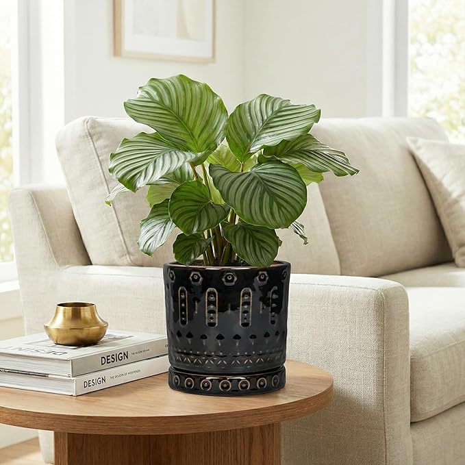 Eightpot 6 Inch Plant Pot, Ceramic Pots for Plants with Drainage Hole and Saucer, Round Planter for Indoor Outdoor Plants, Modern Decorative Flower Pots, Bedroom Decor, Gifts for Plant Lovers, Black