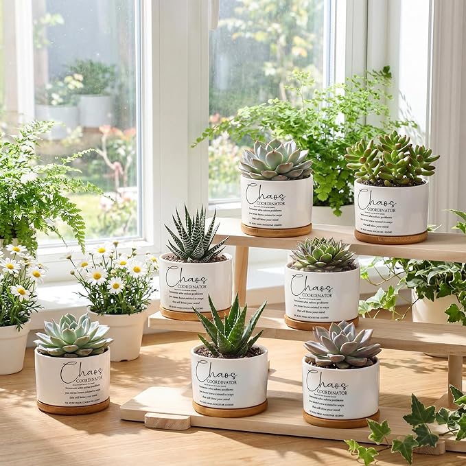 12 Pcs Chaos Coordinator Gifts Succulent Pots Employee Appreciation Gifts Bulk for Women Coworker Teacher Small Ceramic Plant Pots with Bamboo Trays for Office Staff Nurse