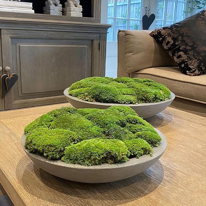 FAICOIA Preserved Moss Bulk Green Natural Preserved Pole Moss Pillow for Potted Plants 2.5 sq.ft Green Moss Balls for Bowls Wall Art Terrariums Crafts Fairy Gardens Easter Table Decor
