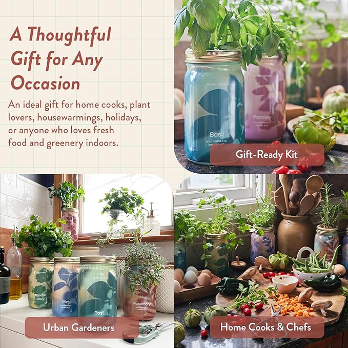 Modern Sprout Mason Garden Jar - Self-Watering Hydroponics Growing System Kit with Organic Herb Seeds - Jar Planter for Indoor Herb Garden - Seed Starter Kit - Home Decor & Gifting - Rosemary