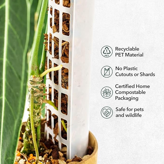 THICCLY V2 GrowPole Large 5 Pcs - Front Opening Clear Moss Poles for Climbing Plants, D-Shaped Moss Pole for Monstera Plant Support Plant Climbing Pole, Plastic Plant Pole Support for Philodendron