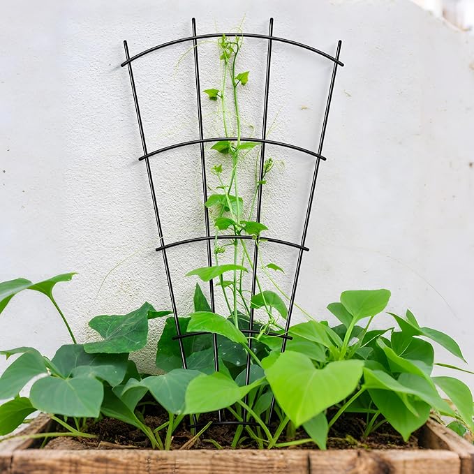 Thealyn 4 Pack 32" Metal Plant Trellis for Pots & Garden Beds, Rustproof Support for Indoor Outdoor Climbing Plants, Vines, Flowers, Fan Shaped, Black