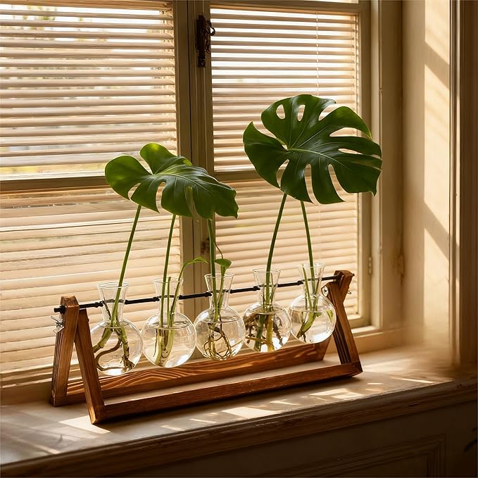 Renmxj Plant Propagation Station, Propagation Vases for Plants, Unique Gardening Birthday Gifts for Women Plant Lovers Mom Best Friend - 5 Bulb Glass Vases