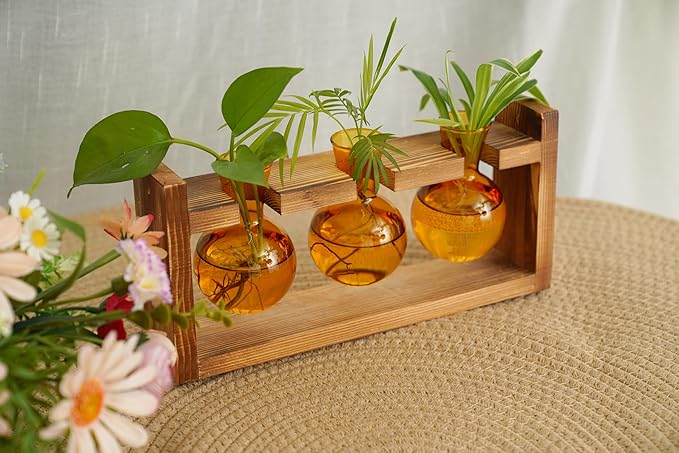 Kingbuy Glass Plant Terrarium Propagation Station - 3 Bulb Colored Vases with Retro Wood Stand Indoor Garden Planter - Wall Mount Desktop Decor for Home Kitchen Wedding, Plant Lover Gift, Amber