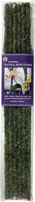 SuperMoss (22051) Moss Stakes Preserved, Fresh Green, 24" (6 pack)