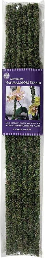 SuperMoss (22051) Moss Stakes Preserved, Fresh Green, 24" (6 pack)