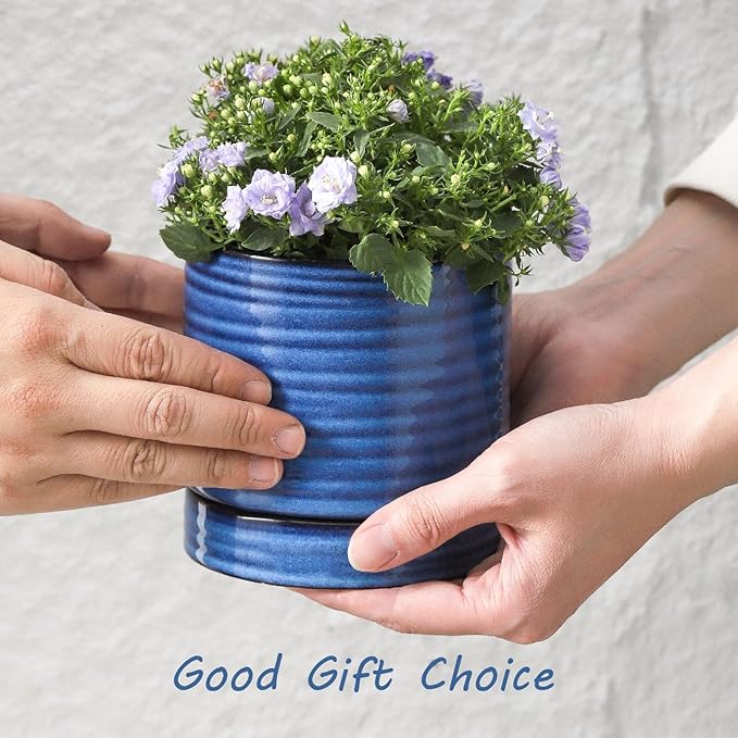 HASENSE Ceramic Indoor Plant Pots, 4.6 Inch Small Flower Planters with Drainage Hole and Saucer, Vintage Reactive Glaze Blue Pots for Succulents, Cactus, Herbs, Home Decor, Set of 4