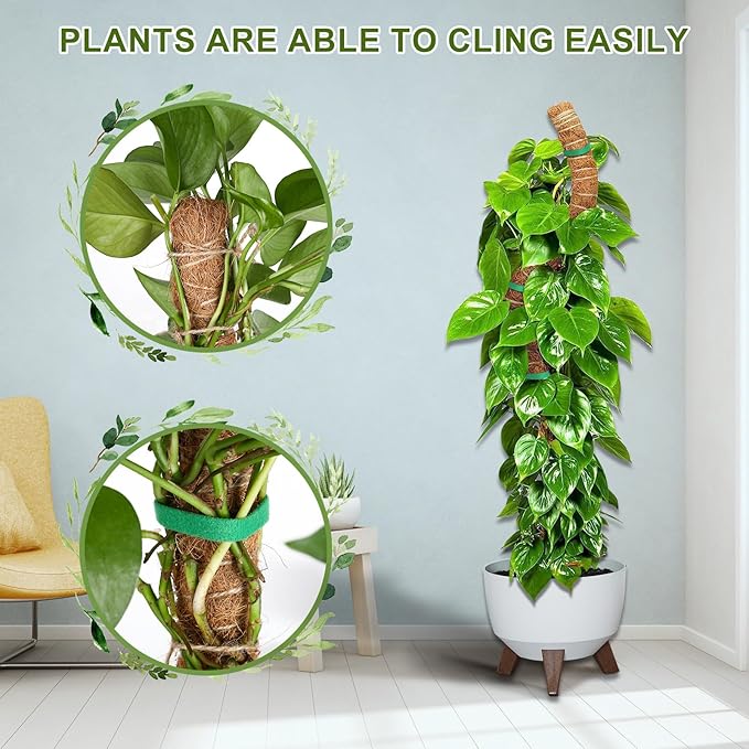 Moss Pole Monstera Plant Support, 2 Ft, 2 Pack Sustainable Coir Bendable Moss Pole Stakes, Plant Sticks for Climbing Vines, Pothos, Potted, Comes with Velcro Tape and Hemp Rope
