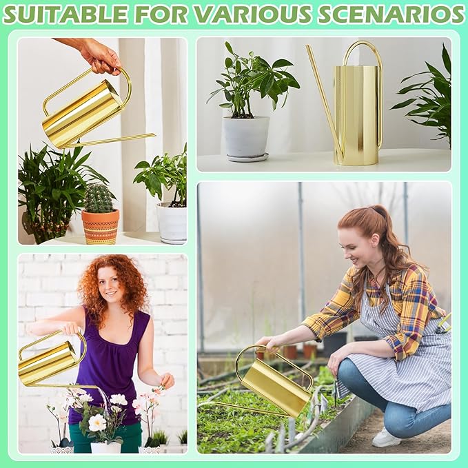 Watering Can Outdoor, 50 oz/1.5L Watering Can with Long Spout and Handle, Stainless Steel Garden Watering Pot for Outdoor and Indoor Plants