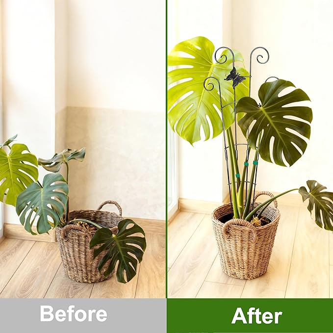 COOMIN 30'' Monstera Plant Support Outdoor, Metal Expandable Plant Supports for Indoor Plants, Garden Monstera Trellis for Climbing Plants Indoor, 2pcs