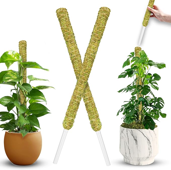 DUSPRO Natural Stackable Moss Pole for Plants Monstera, Forest Moss Sticks, Monstera Plant Support, Handmade Plant Stakes for Indoor Plants for Potted Plant to Grow Upward 02 pcs 22''