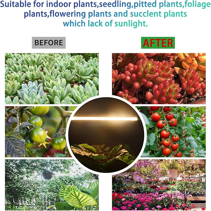 RWNTAO One Strip Growing Lamp 2-Pack, Full Spectrum LED Grow Light Strips for Indoor Plants with Auto ON/Off Timer & 4 Dimmable Levels for Green House Hydroponics Succulent (One Head 2 Pack)