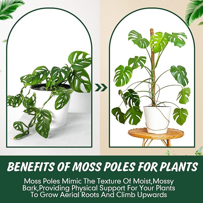 30 Pcs Moss Pole for Plants Monstera 16.5 Inch Coir Poles Bendable Monstera Plant Support with 10 Pcs 6.56 Feet Jute Rope and 6.56 Feet Green Plant Tape for Indoor Outdoor Climbing Plants Growth