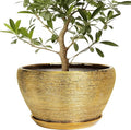 Ceramicfor Ceramic Planter 13 Inch - Indoor Plant Pot with Drainage Hole and Saucer Large Ceramic Pot for Plants Mid-Century Decorative Modern Outdoor Flower Pot for Home Decor Gold