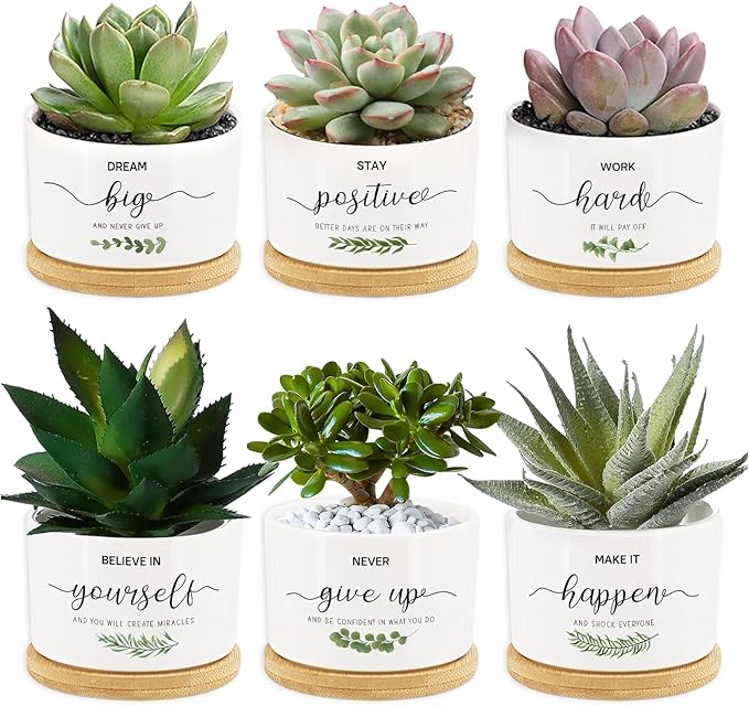 Tarklanda 6 Pcs Thank You Gift Succulent Pots Mini Ceramic Plant Pots with Bamboo Tray Flower Pots Planters for Teacher Coworker Employee Nurse Friends Appreciation, Plants Not Included