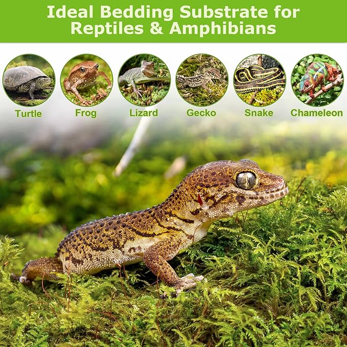 Legigo 1.3LBS Sphagnum Moss for Plants, 25QT Natural Orchid Moss Potting Mix Dired, Green Forest Plant Moss for Orchid Repotting Carnivorous Succulents Indoor Potted Plants Gardening and Reptiles