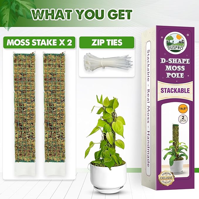 DUSPRO D-Shaped Plastic Moss Poles for Climbing Plants Monstera Stackable Moss Pole for Plants Moss Plant Pole Handmade Moss Stick for Indoor Plants Grow Upward 2 Pack 16.5 inches