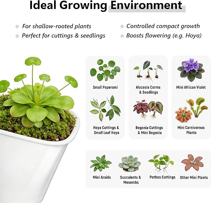 10 Pack 3 Inch Self Watering Pots for Indoor Plants, White Plastic Planters with Water Level Indicator, Drainage Holes & Wick, Small Plant Pots for Cuttings, Seedlings, Herbs, African Violets