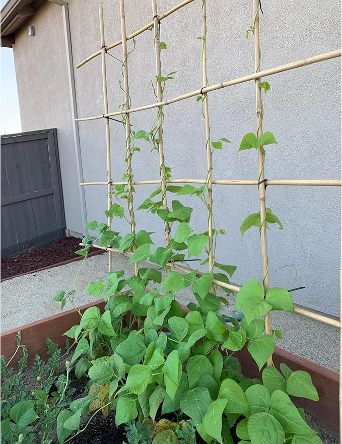 0.32”-0.4"/ 4 Feet Garden Stakes, Natural Bamboo Sticks Plant Stakes for Indoor and Outdoor Plants，Poles for Tomatoes, Beans, Potted Plants(50Pcs)