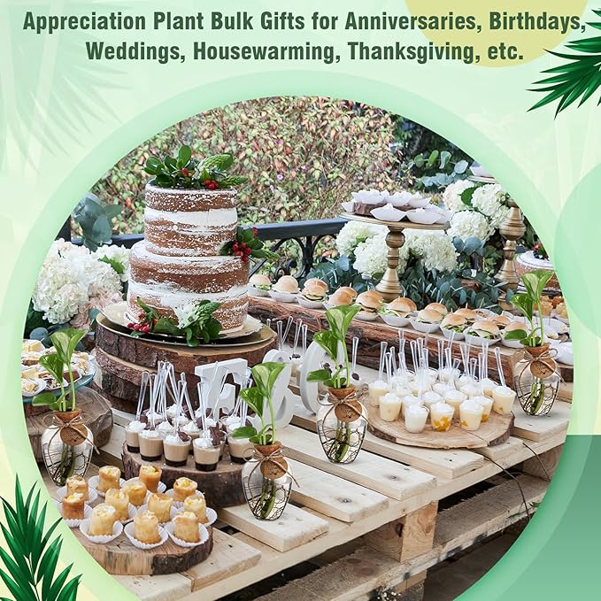 Baderke 24 Pack Big 10oz Plastic Plant Propagation Stations with Hole Lid Planter Vase Clear Propagation Jars with Thank You Tags for Plant Lover Gifts for Women Office Home Garden