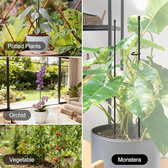 Plant Stakes for Indoor Plants, RIFNY 14 Inch Plant Support Stakes with Clips, Tall Adjustable Plant Sticks for Indoor Monstera Tomato Orchid Potted Plants Flower (6 PCS, Black)